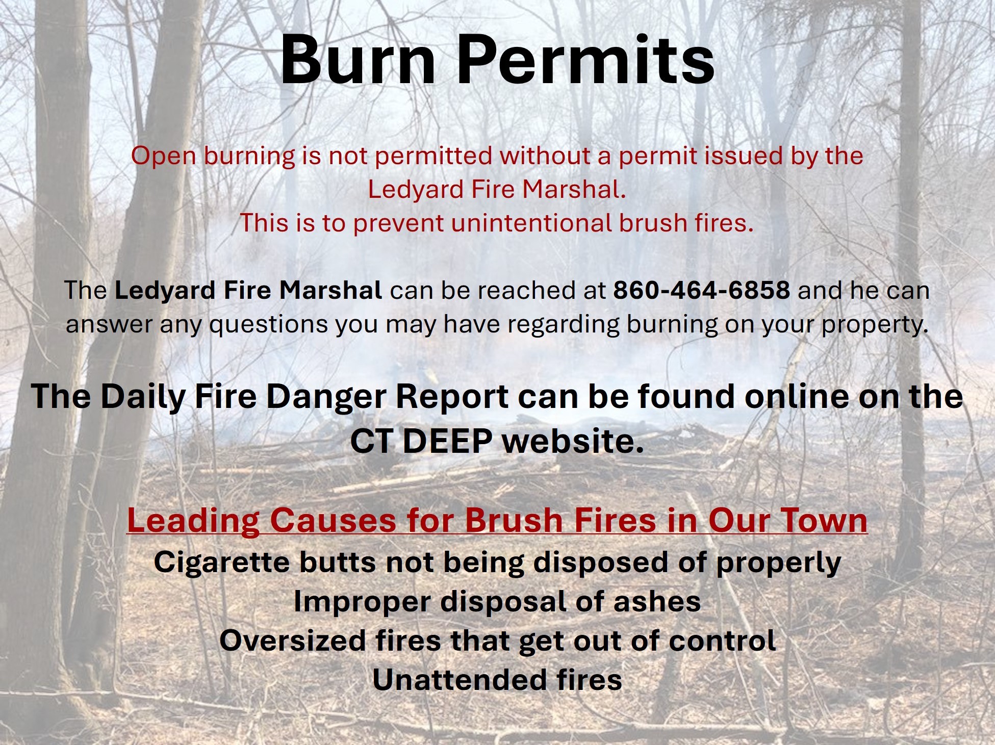 Burn Permit